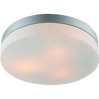 Настенно-потолочный светильник Arte Lamp A3211PL-3SI AQUA 3*60W E27 серебро/белый