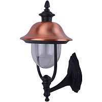 Уличный настенный светильник Arte Lamp A1481AL-1BK BARCELONA 1*75W E27 черный/прозрачный