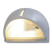 Уличный настенный светильник Arte Lamp A2801AL-1GY URBAN 1*60W E27 серый/прозрачный