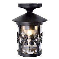 Уличный потолочный светильник Arte Lamp A1453PF-1BK PERSIA 1*75W E27 черный/прозрачный