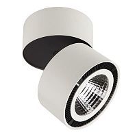 Накладной поворотный светильник LIGHTSTAR FORTE MURO 214850 40W LED 4000K белый/черный