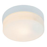 Настенно-потолочный светильник Arte Lamp A3211PL-1WH AQUA 1*60W E27 белый