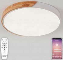 Потолочный светильник Natali Kovaltseva SCANDINAVIAN LED LAMPS 81182 белый