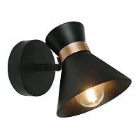Спот Arte Lamp A1406AP-1BK BALTIMORE 1*40W E14 черный/золотой