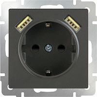 Розетка с заземлением, шторками и USBх2 16А WERKEL WL07-SKGS-USBx2-IP20 серо-коричневый