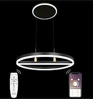 Потолочный светильник Natali Kovaltseva DORIAN I HIGH-TECH LED LAMPS 82048 черная