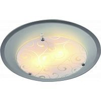 Настенно-потолочный светильник Arte Lamp A4806PL-2CC ARIEL 2*60W E27 хром/белый