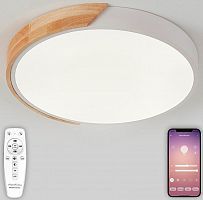 Потолочный светильник Natali Kovaltseva SCANDINAVIAN LED LAMPS 81181 белый