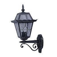 Уличный настенный светильник Arte Lamp A1351AL-1BS PARIS 1*75W E27 серебро черненое/прозрачный
