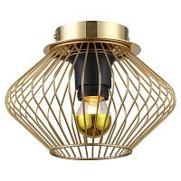 Настенно-потолочный светильник LUSSOLE LOFT BROOKS LSP-8248 1*40W E27 матовое золото
