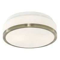 Настенно-потолочный светильник Arte Lamp A4440PL-2AB AQUA 2*40W E27 бронза/белый