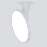 Накладной светильник ELEKTROSTANDARD BRAIN DLS029 12W LED 4200K белый
