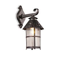 Уличный настенный светильник ODEON LIGHT LUMI 2313/1W 1*60W E27 коричневый/прозрачный