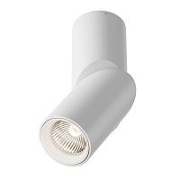 Накладной светильник MAYTONI DAFNE C027CL-L10W4K 10W LED 4000K белый