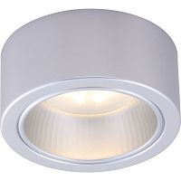 Потолочный светильник Arte Lamp Effetto A5553PL-1GY