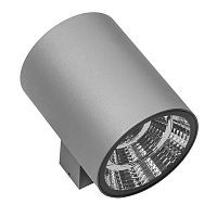 Уличный настенный светильник LIGHTSTAR PARO 371592 30W LED 3000K серый