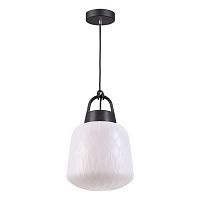 Уличный подвесной светильник NOVOTECH CONTE 370601 1*60W E27 черный/белый