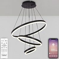 Подвесная люстра Natali Kovaltseva OREOL LED LAMPS 81278  черный