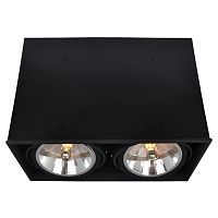 Светильник накладной поворотный Arte Lamp A5936PL-2BK CARDANI 2*50W GU5.3 черный
