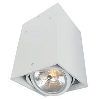 Светильник накладной поворотный Arte Lamp A5936PL-1WH CARDANI 1*50W GU5.3 белый