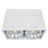 Светильник накладной поворотный Arte Lamp A5936PL-2WH CARDANI 2*50W GU5.3 белый