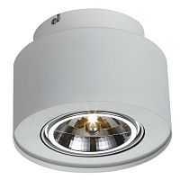 Светильник накладной поворотный Arte Lamp A5643PL-1WH CLIFF 1*50W GU5.3 белый