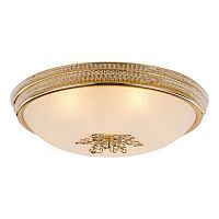 Светильник потолочный Arte Lamp A9205PL-5GO VASSOIO 5*40W G9 золото/белый