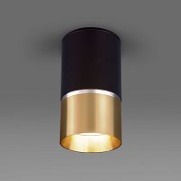 Накладной светильник ELEKTROSTANDARD DLN106 GU10 1*40W черный/золотой