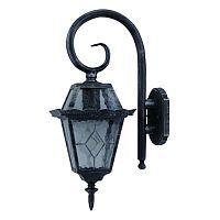 Уличный настенный светильник Arte Lamp A1352AL-1BS PARIS 1*75W E27 серебро черненое/прозрачный